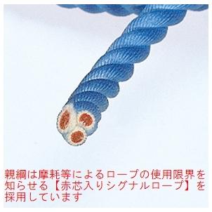 TITAN ハンドタイトナー 水平親綱緊張器 10m HT-10m trans-style_sk088