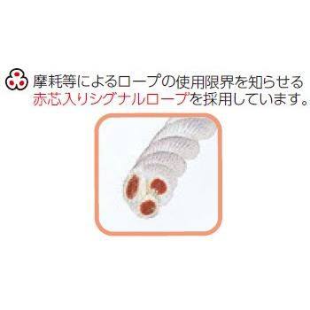 受注生産品）屋根作業用親綱 RF-10m型 1本 サンコー タイタン : 理研 