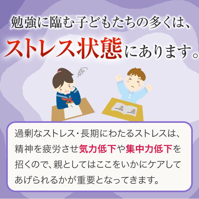 PSアプローチ 勉強を頑張る成長期10代の子ども、受験生におすすめ ホスファチジルセリン高配合 受験サプリメントの決定版 6袋セット約6ヶ月分_3