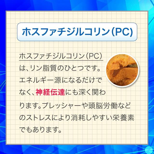 PSアプローチ 勉強を頑張る成長期10代の子ども、受験生におすすめ ホスファチジルセリン高配合 受験サプリメントの決定版 6袋セット約6ヶ月分_7