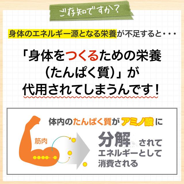 わんぱくダッシュ 激しいスポーツや部活をする成長期10代の子どもにおすすめ 必須アミノ酸(BCAA)・カルシウム・マグネシウムなどを最適配合 3袋セット約3ヶ月分