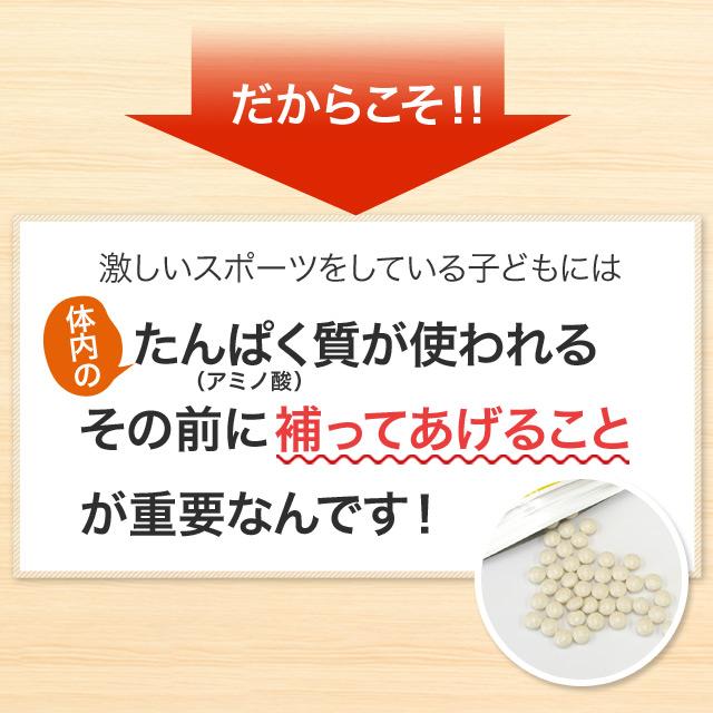 わんぱくダッシュ 激しいスポーツや部活をする成長期10代の子どもにおすすめ 必須アミノ酸(BCAA)・カルシウム・マグネシウムなどを最適配合 3袋セット約3ヶ月分