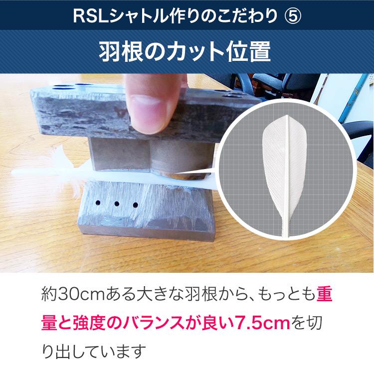 RSL RSLダイレクト バドミントンシャトル 練習球 10ダース(10本
