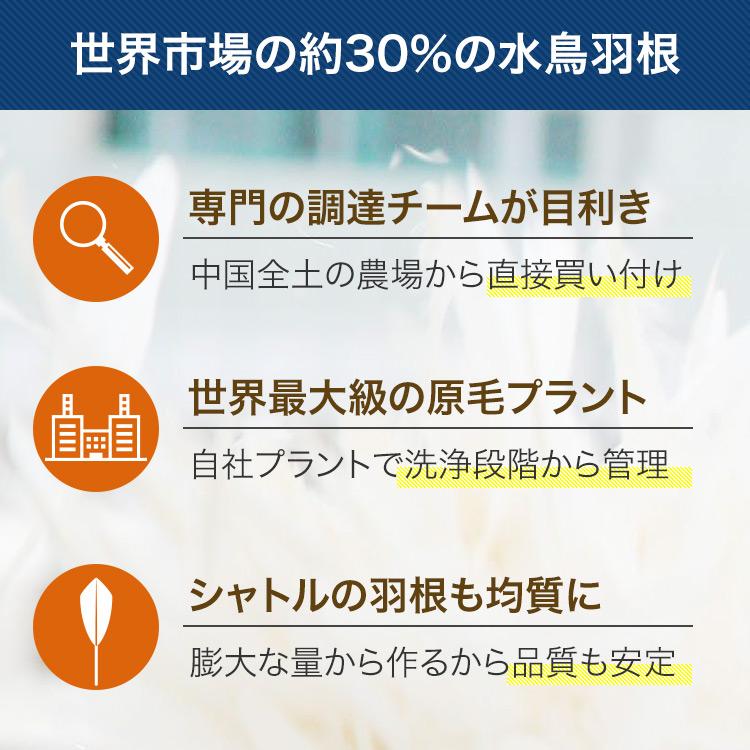 RSL シルバーフェザー バドミントンシャトル 第2種検定球 10ダース(10
