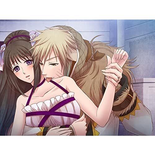 12時の鐘とシンデレラ 同梱 シンデレラシリーズ トリプル全巻パック テレビゲーム 豪華版 豪華版特製冊子 豪華版ドラマcd 同梱 Psvita Rs Rs Market