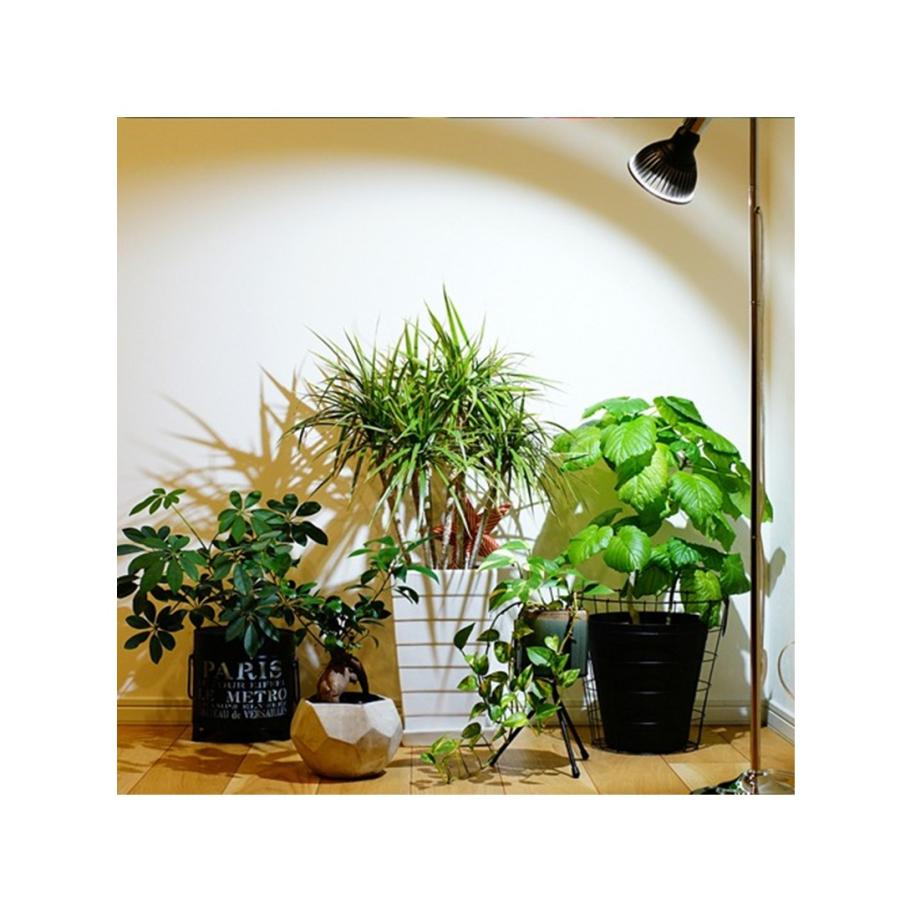 BARREL AMATERAS LED 10W ブラック 植物育成ライト バレル アマテラス