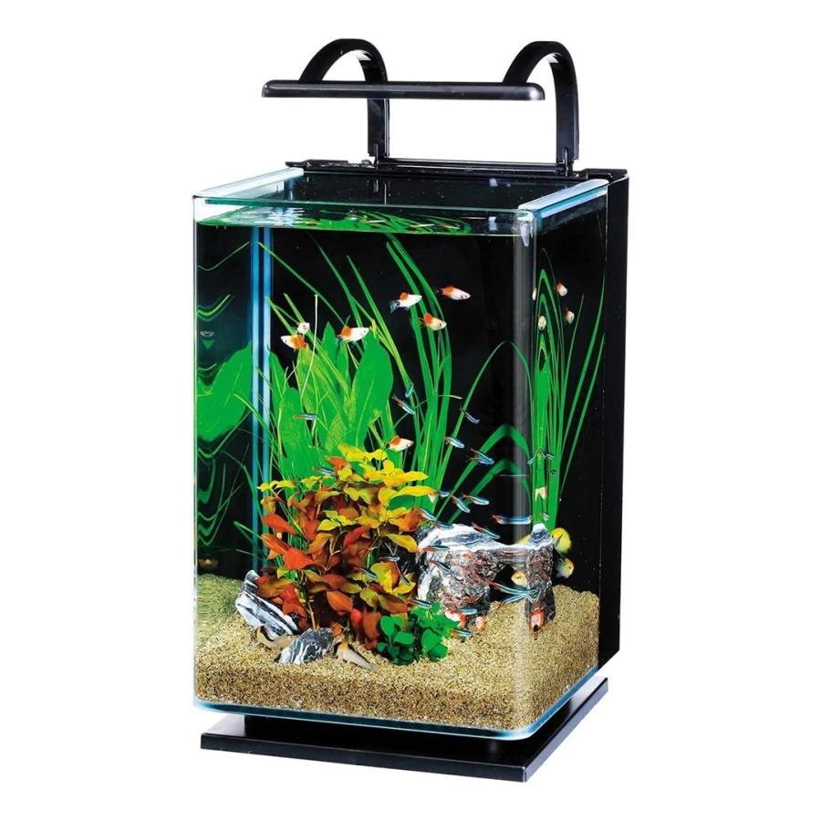 Tetra（テトラ） リビングキューブ 20 オールインワン水槽 淡水・海水