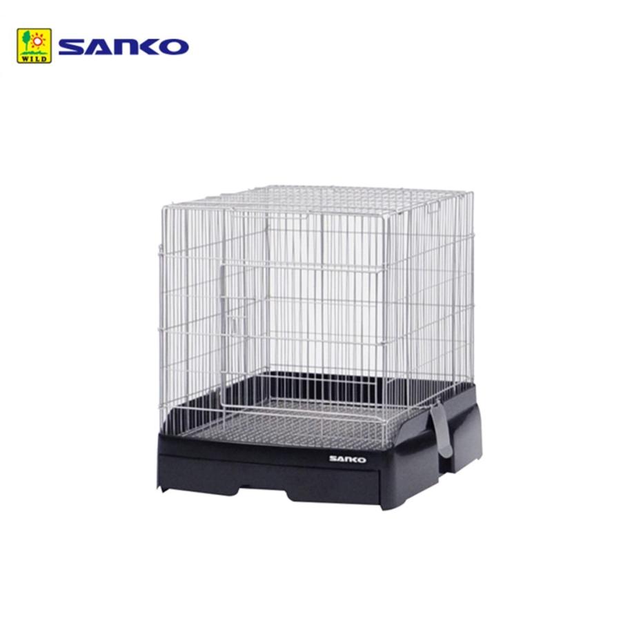 アガベ　トランカータ　5株セット❗ハンティントン形タイプ❗ アガベ トランカータ 5株セット❗ハンティントン形タイプ