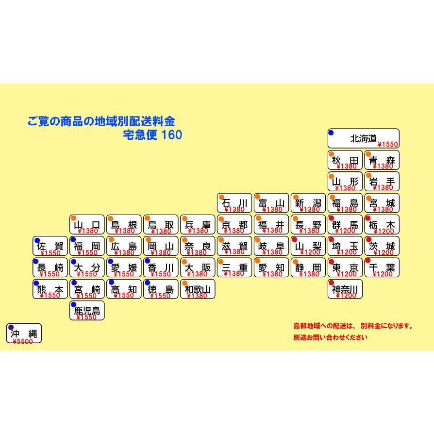 OCEAN&EARTH オーシャンアンドアース ZERO BODY BOARDS 39インチ