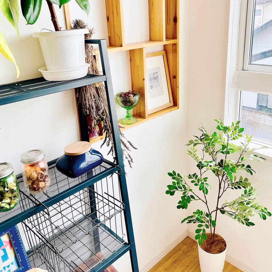 Seal限定商品 プレミアム 銀配合光触媒 観葉植物 フェイクグリーン 空気清浄 消臭 脱臭 室内 インテリア おしゃれ リアル シマトネリコ 2本立 110cm 白丸 Cisama Sc Gov Br