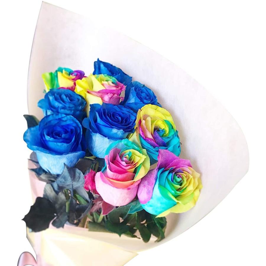 Bisesflower バラ 花束 10本 ブルー レインボー 各5本 プロポーズ サプライズ 花 ローズ 薔薇 ブーケ ウェディング プレゼント 生 オンライン限定商品