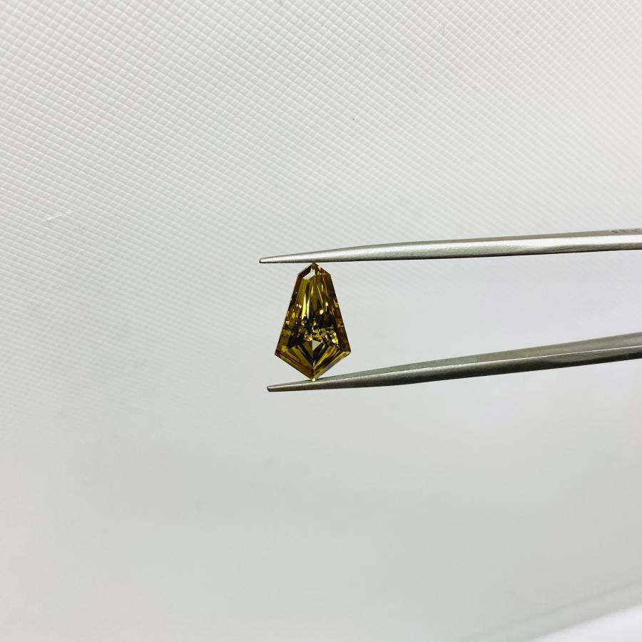 FANCY DARK BROWN GREENISH YELLOW 1.59ct/X/RT2864/GIA : R.T.