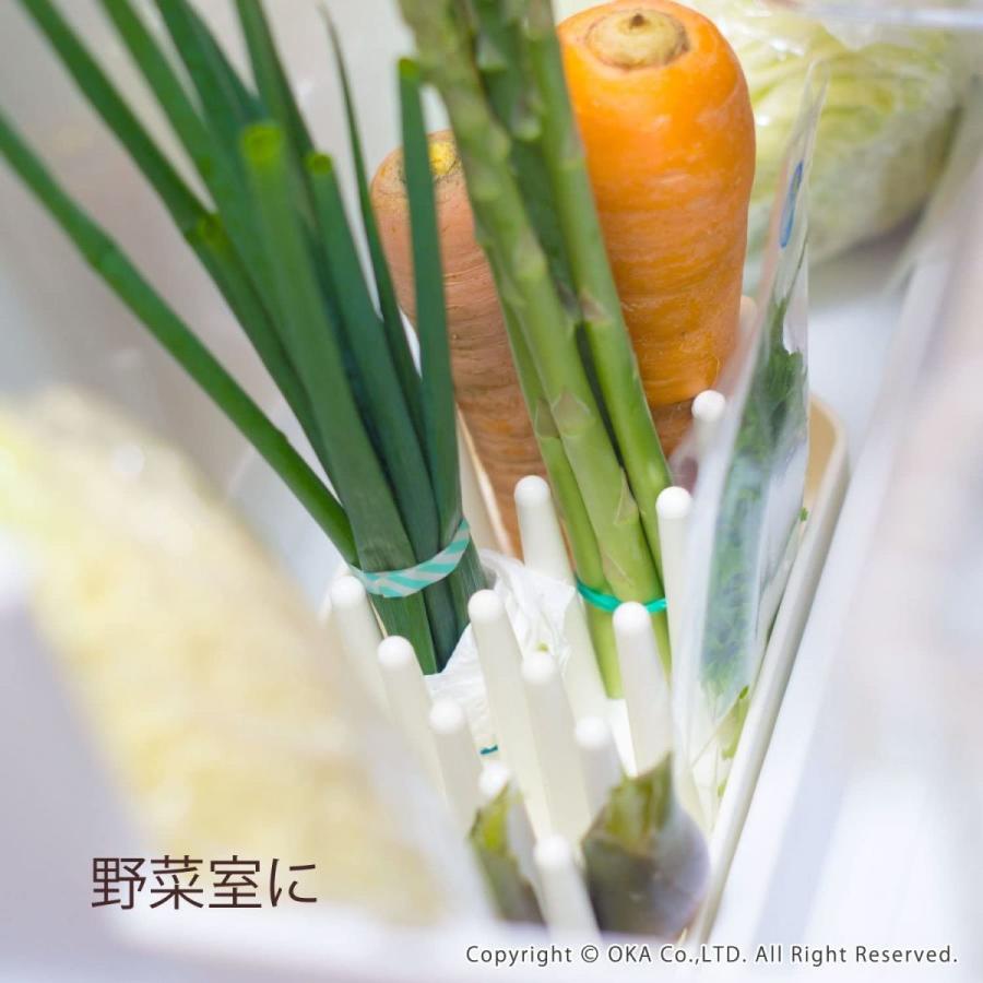 オカ 冷蔵庫収納 野菜スタンド ホワイト 約10.8×20.5×9cm PLYS(プリス) ベジマジ たてる｜rtier-shop｜03