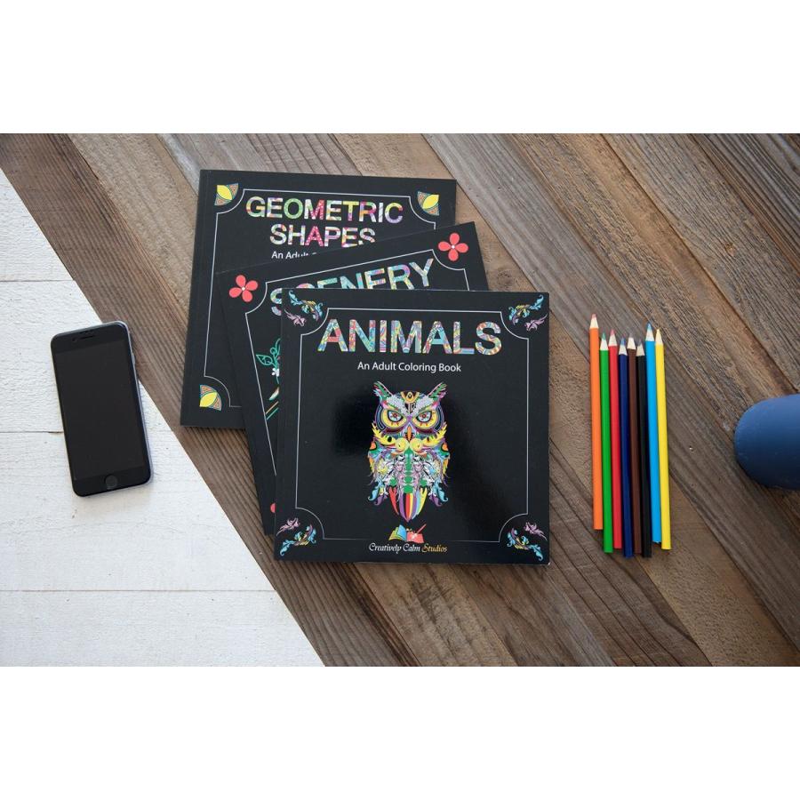 Creatively Calm Studios (クリエイティブリー カーム スタジオ) 大人用塗り絵セット - 大人用塗り絵ブック3冊 - Calm Studios クリエイティブリー カーム スタジオ 大人用塗り絵セット 大人用塗り絵ブック3冊