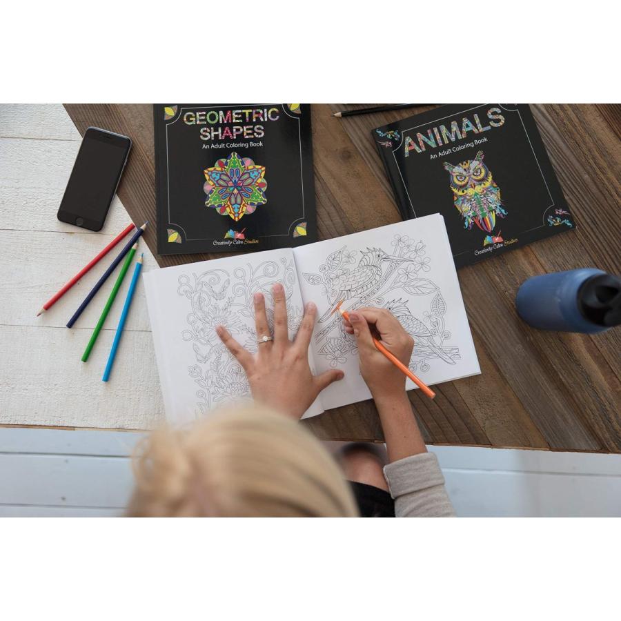Creatively Calm Studios (クリエイティブリー カーム スタジオ) 大人用塗り絵セット - 大人用塗り絵ブック3冊 - Calm Studios クリエイティブリー カーム スタジオ 大人用塗り絵セット 大人用塗り絵ブック3冊