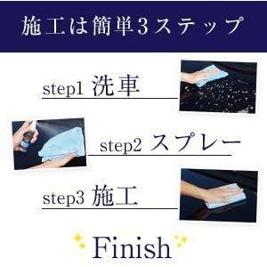 ピカピカレイン 脱脂剤 アルコール系 油分除去 専用クロス付きTOP