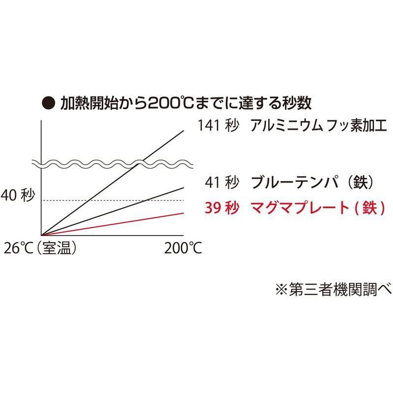 匠 日本製 炒め鍋 30cm IH対応 マグマプレート TAKUMIJAPAN 鉄製 ガラス蓋付き グレーの画像