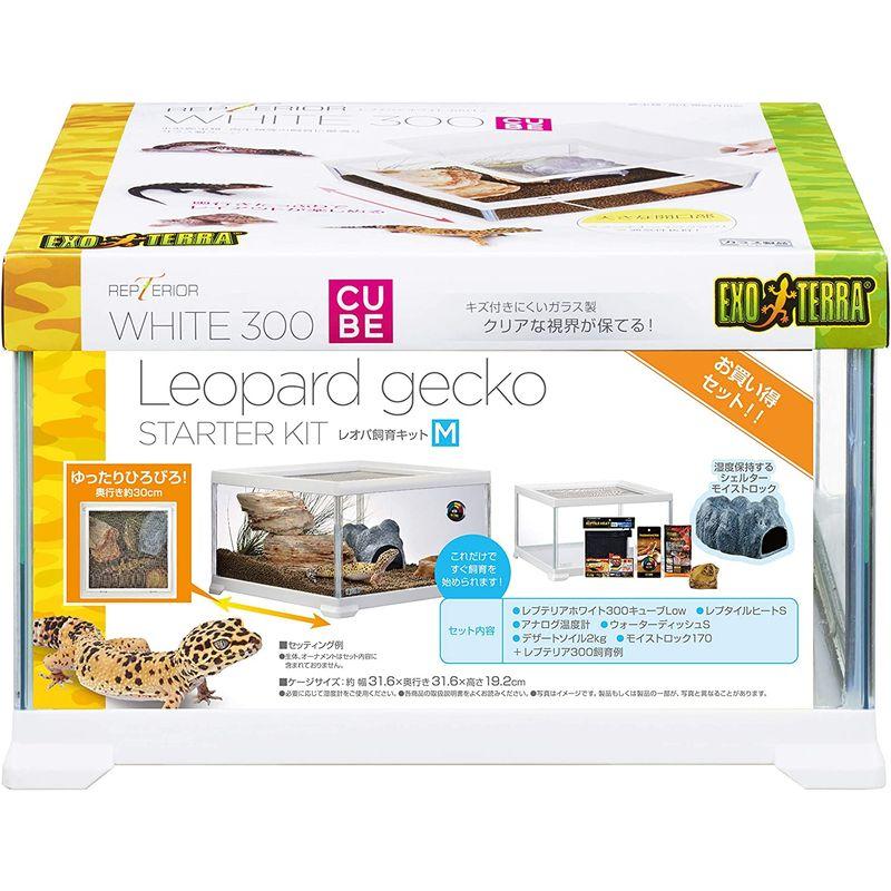 GEX EXOTERRA レプテリア レオパ飼育キットM 爬虫類用ガラス