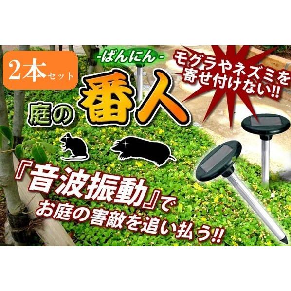 モグラ退治 超音波 庭 害獣対策 駆除 ソーラー充電式 防水 もぐら 撃退 簡単 R1163 Mc 17 1212 C148 Rtk Com 通販 Yahoo ショッピング