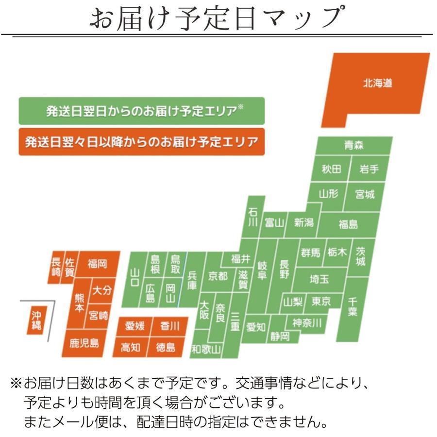 ポロシャツ ボタンダウン ビジネス メンズ 半袖 おしゃれ 胸ポケット付きポロシャツ uvカット 涼しい サラサラドライ 透けない鹿の子 吸汗速乾 消臭 大きい 5051｜rtm-select｜16