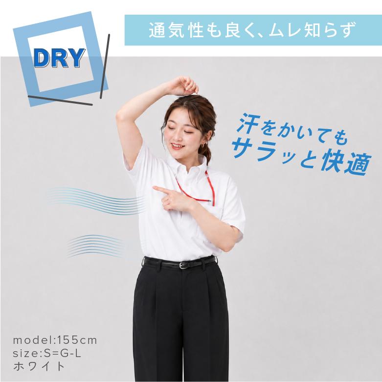 定番アイテム レディース 【5枚セット】 ポロシャツ 半袖 ボタンダウン