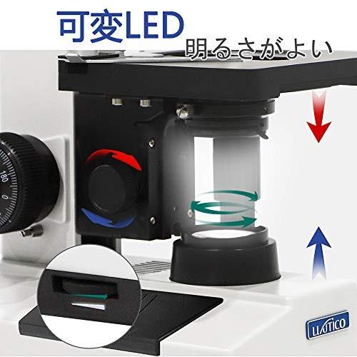 Llutico三眼生物顕微鏡そして130Wピクセルデジタルカメラセット 専門 