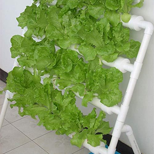 INTBUYING 水耕栽培キット プランター レタス 水菜など野菜育てる 室内 
