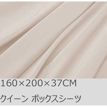 R.T. Home - 高級エジプト超長綿(エジプト綿)ホテル品質ボックスシーツ クイーン サイズ　500スレッドカウント サテン織り クリーム ベージュ(160*200*37CM) | 