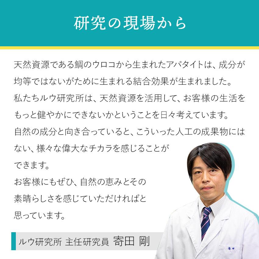 歯磨き粉 ホワイトニング アパタイト キラルンペースト100ｇ フッ素なし 子供 大人 セルフホワイトニング 歯 白く 口臭予防 RUKEN | RUKEN | 16