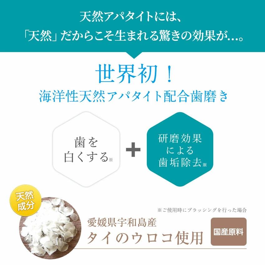 歯磨き粉 ホワイトニング アパタイト キラルンペースト100ｇ フッ素なし 子供 大人 セルフホワイトニング 歯 白く 口臭予防 RUKEN | RUKEN | 14