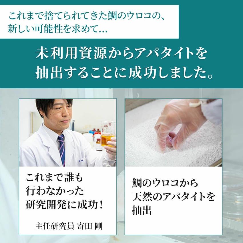 歯磨き粉 ホワイトニング アパタイト キラルンペースト100ｇ フッ素なし 子供 大人 セルフホワイトニング 歯 白く 口臭予防 RUKEN | RUKEN | 13
