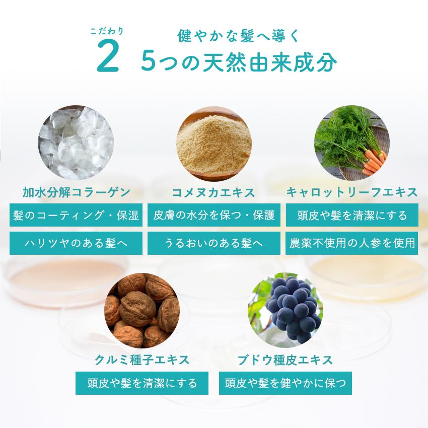 ドライシャンプー 水のいらないシャンプー 100ml 災害 シャンプー 緊急 緊急時 天然由来成分配合 介護 水なしシャンプー とは |  | 10