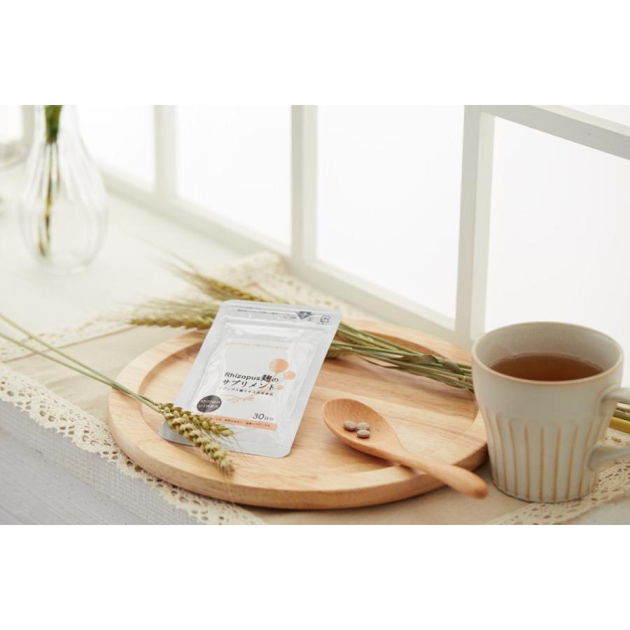 Rhizopus麹のサプリメント 30日分 90粒入り リゾープス麹エキス配合 パッケージリニューアルしました☆ | 
