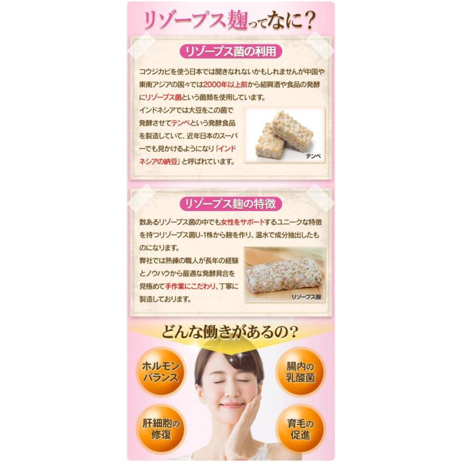 Rhizopus麹のサプリメント 30日分 90粒入り リゾープス麹エキス配合