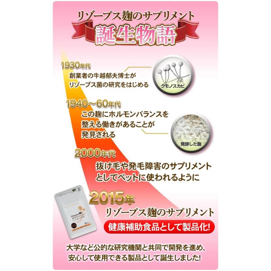 Rhizopus麹のサプリメント 30日分 90粒入り リゾープス麹エキス配合