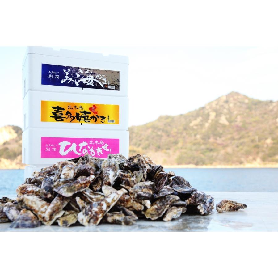 内祝い 岡山県 北木島 冷凍殻付き牡蠣 喜多嬉かき 生鮮 生食用 ３kg 30 37粒 勇和水産 産地直送 正規代理店 Cisama Sc Gov Br