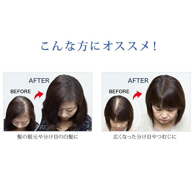 翌日発送可能】 2個Dブラウン ヘアシャドウ 薄毛 増毛 おでこ 分け目 隠す 隠し はげ 2個Dブラウン ヘアシャドウ】 薄毛 増毛 おでこ 分け目 隠す 隠し はげ