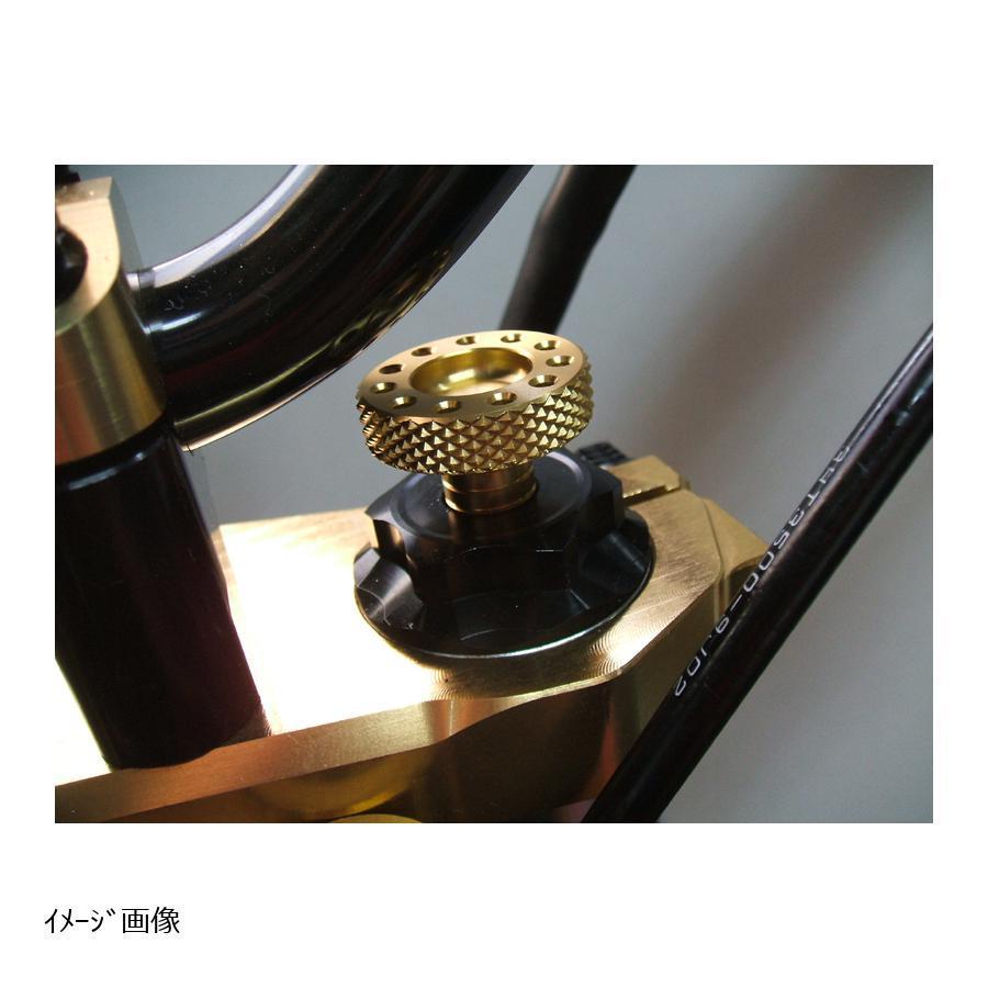 みー SR400 アントライオン イニシャルアジャスター フォークトップボルト