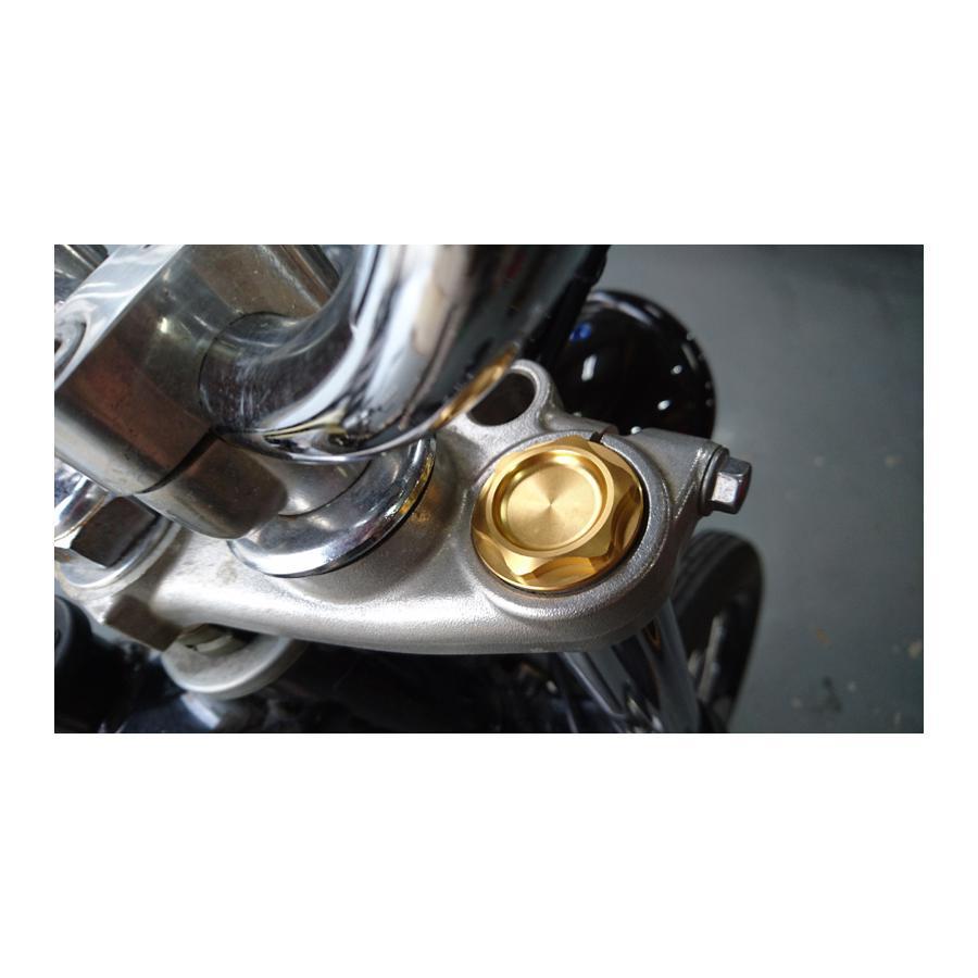 トライアンフ　T100  2022年〜用　フロントスプリング&トップキャップ トライアンフT100 2022年〜用フロントスプリング&トップキャップ