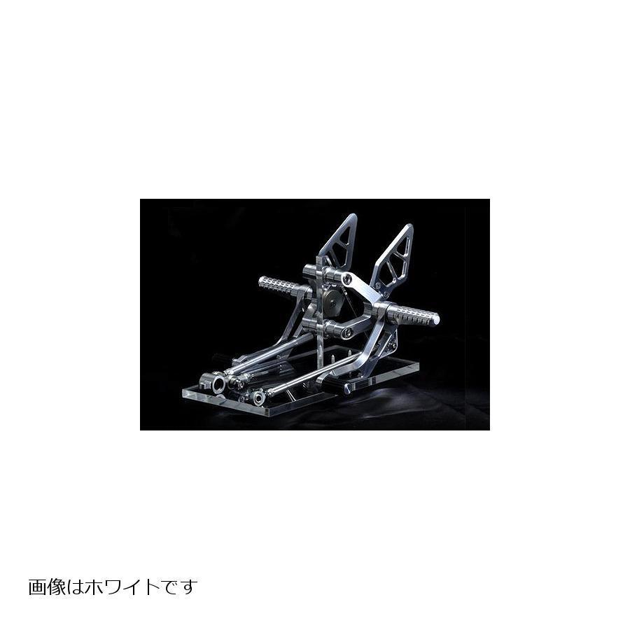 AELLA(アエラ) ライディングステップキット ポリッシュ 1198系 AE-10060-PO