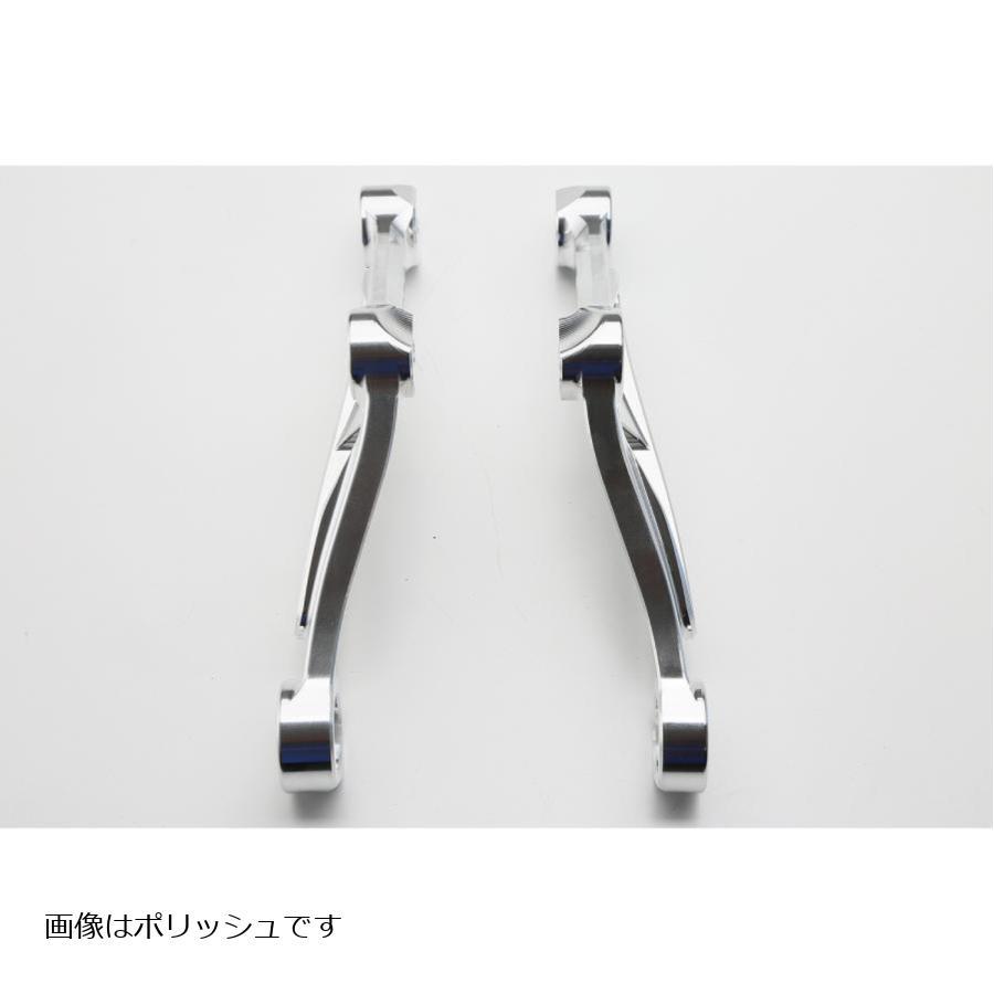 アエラ エンジンハンガー・ロア in VibraTech ホワイト Z900RS_3