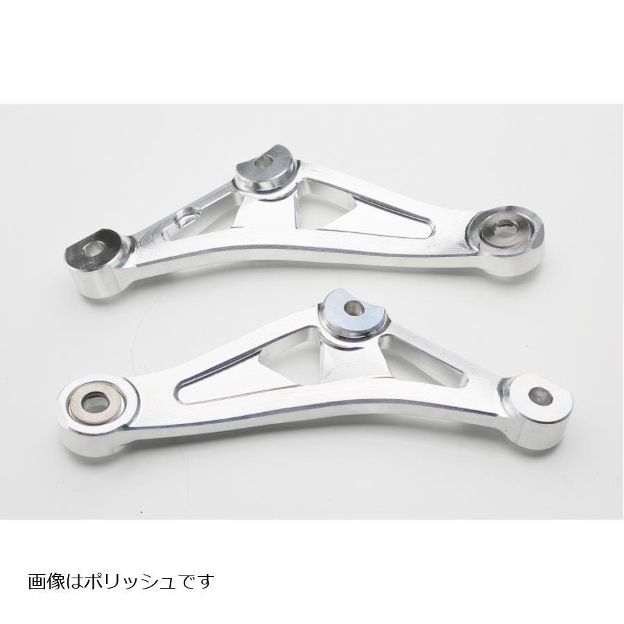 アエラ エンジンハンガー・ロア in VibraTech ホワイト Z900RS_4