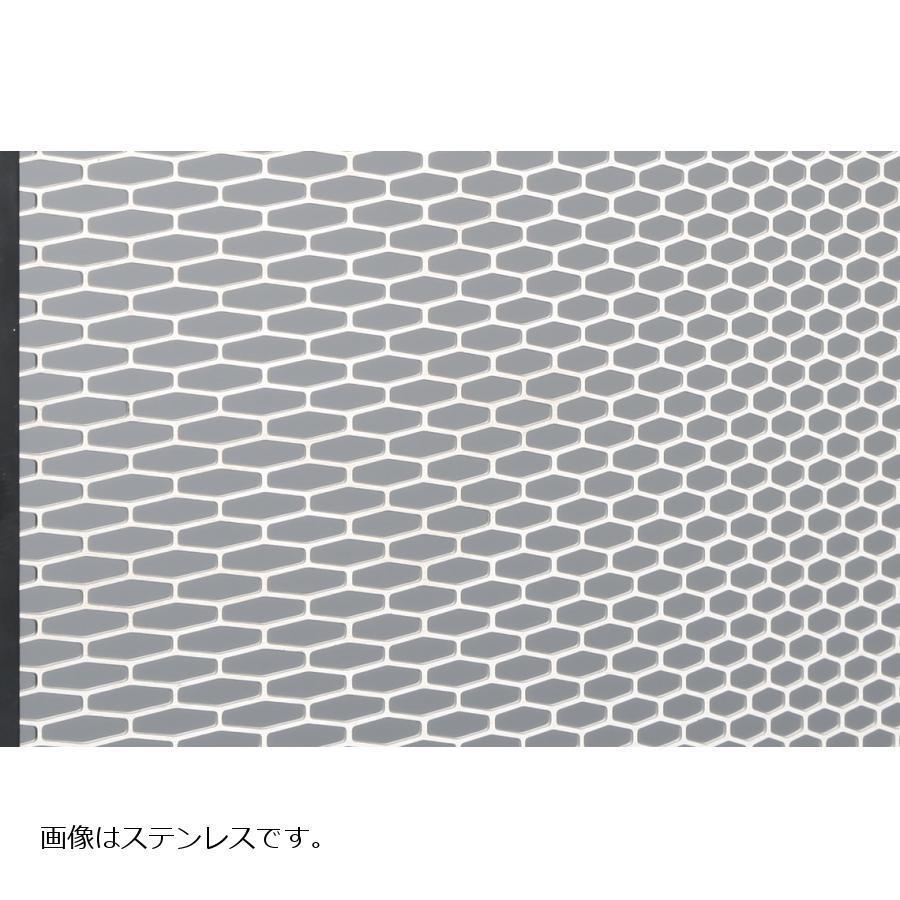 AELLA(アエラ) ラジエター＆オイルクーラープロテクターセット ブラック ドゥカティ Xdiavel AE-56130-BKの画像