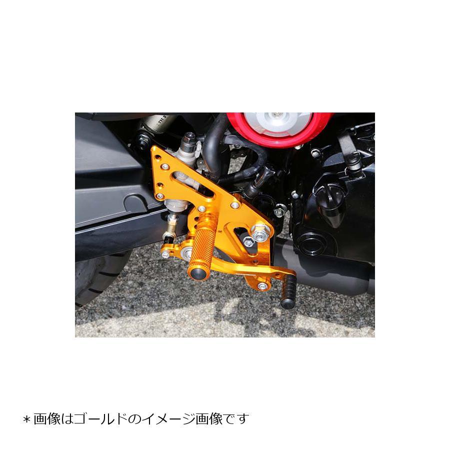 サト ZX-6R (09-24)足掛けや車体をガードするサブケージ-ON-POINT｜AxxL