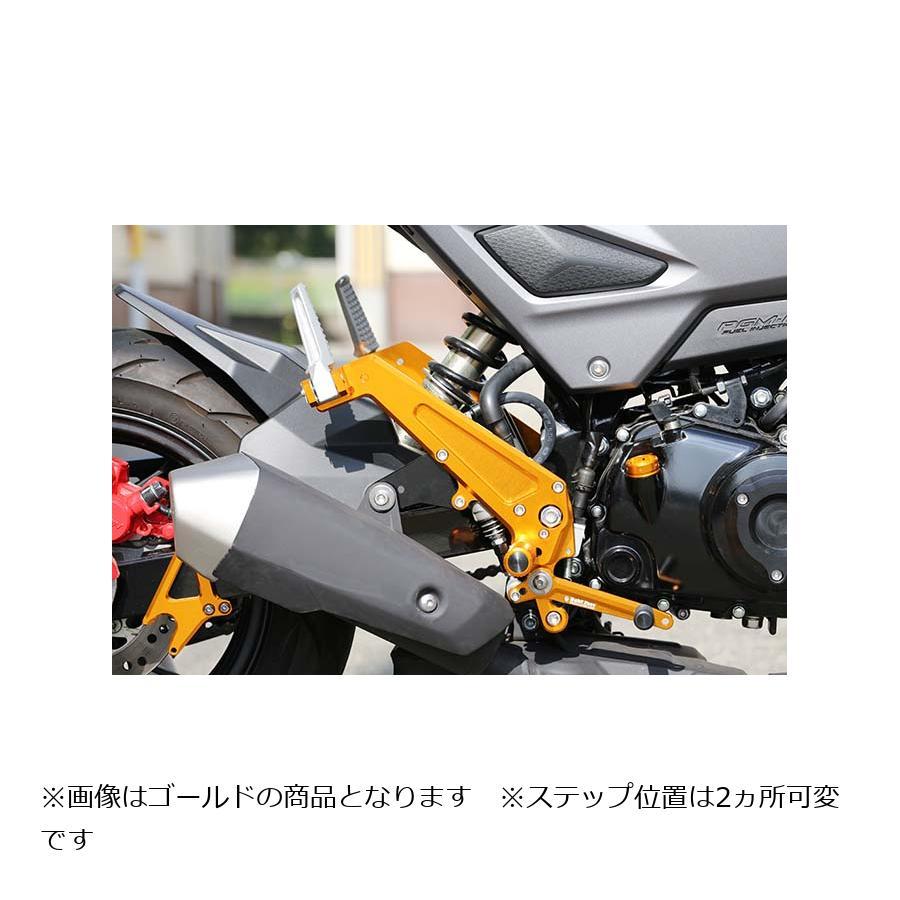 BABYFACE (ベビーフェイス) バックステップキット ブラック GROM