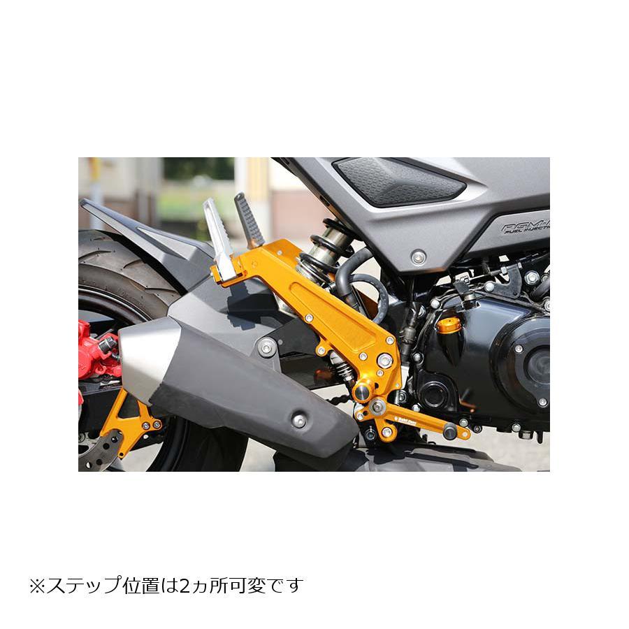 ベビーフェイス バックステップキット ゴールド GROM 16-_1