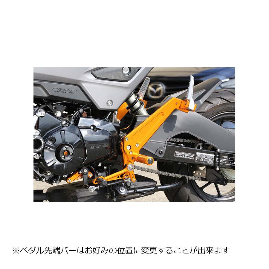 ベビーフェイス バックステップキット ゴールド GROM 16-_2