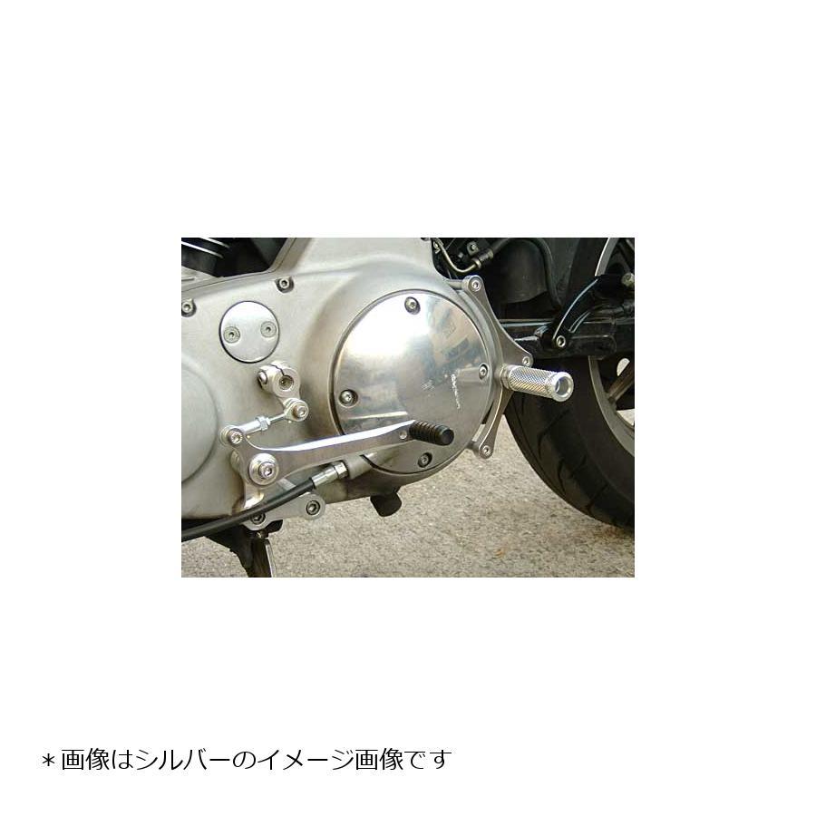 楽天市場】BABY FACE (ベビーフェイス) バックステップ ZX-10R 11