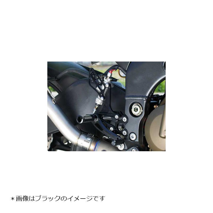 babyface（ベビーフェイス） バックステップ/ゴールド 6P ZX10R 04-05