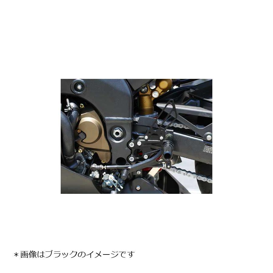 babyface（ベビーフェイス） バックステップ/ゴールド 6P ZX10R 04-05